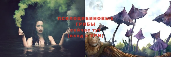 ГАЛЛЮЦИНОГЕННЫЕ ГРИБЫ Абдулино