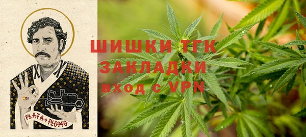 ГАЛЛЮЦИНОГЕННЫЕ ГРИБЫ Абдулино