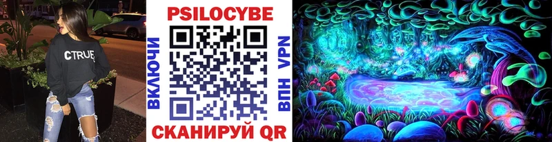 Псилоцибиновые грибы мицелий  hydra онион  Тотьма  где можно купить  